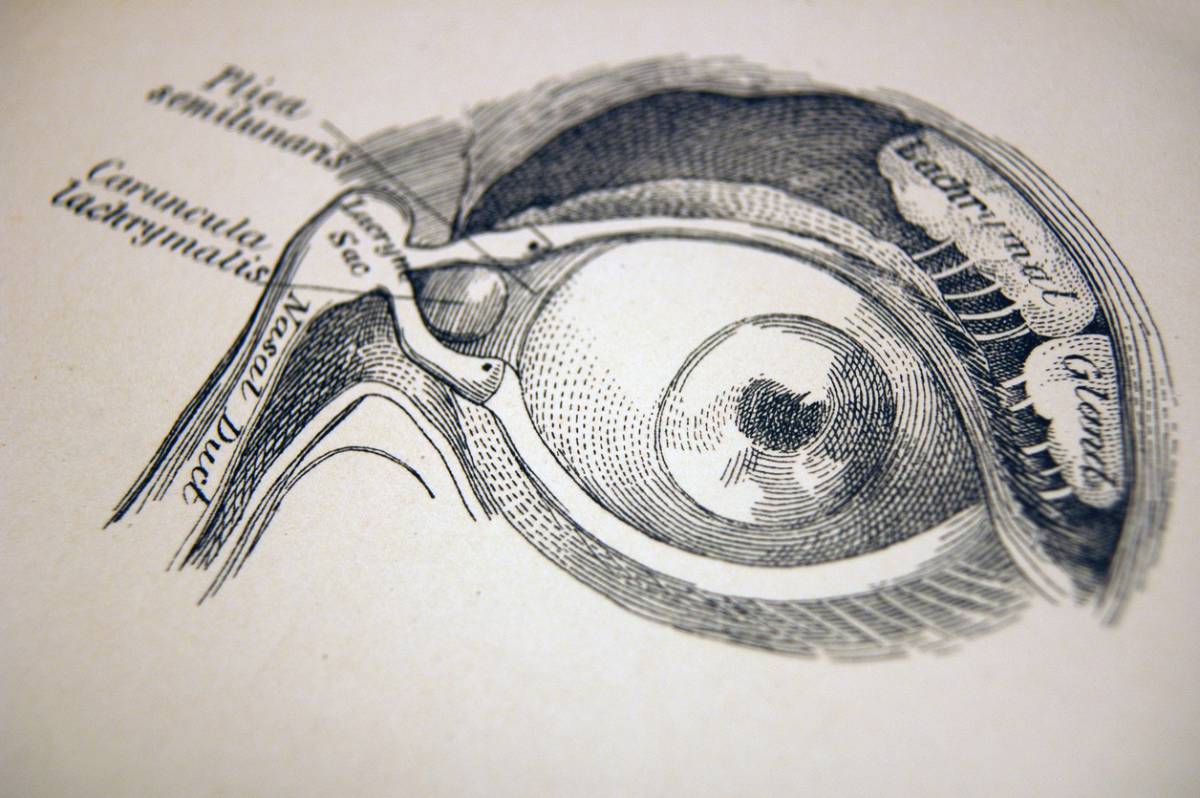 featured image for why do tear duct draining issues occur